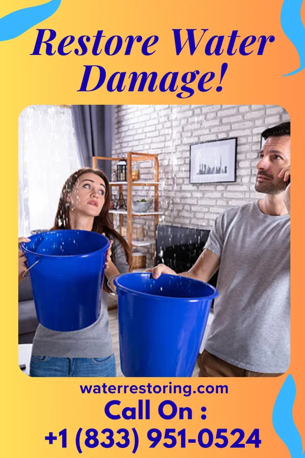 water restoration Priority Mitigation Force Addison