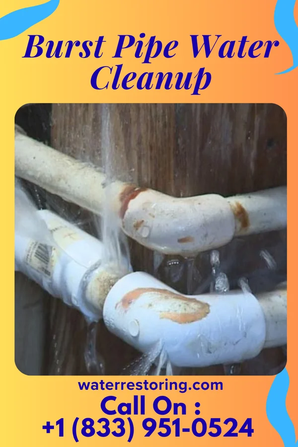 Burst Pipe Water Cleanup in Addison, WV