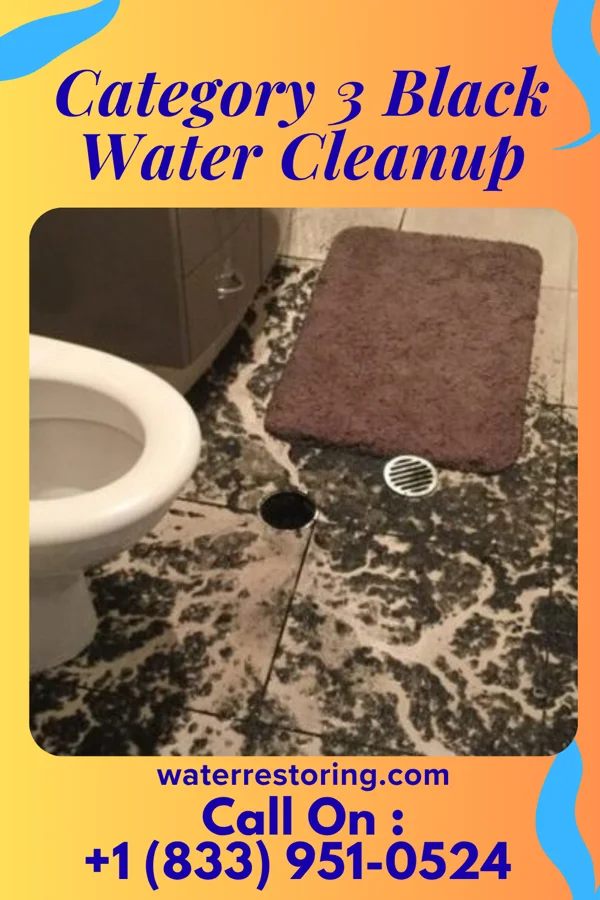 Category 3 Black Water Cleanup in Addison, WV