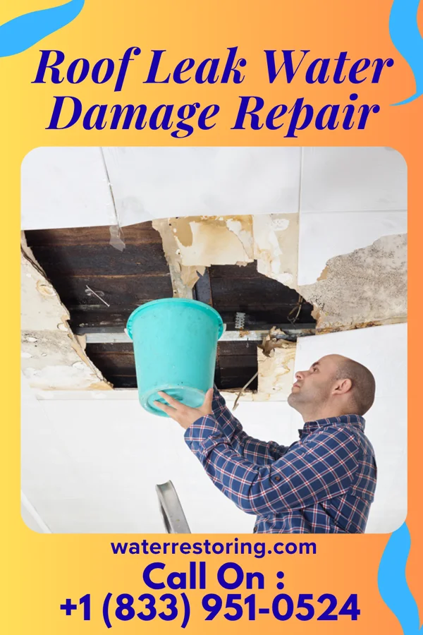 Roof Leak Water Damage Repair in Addison, WV