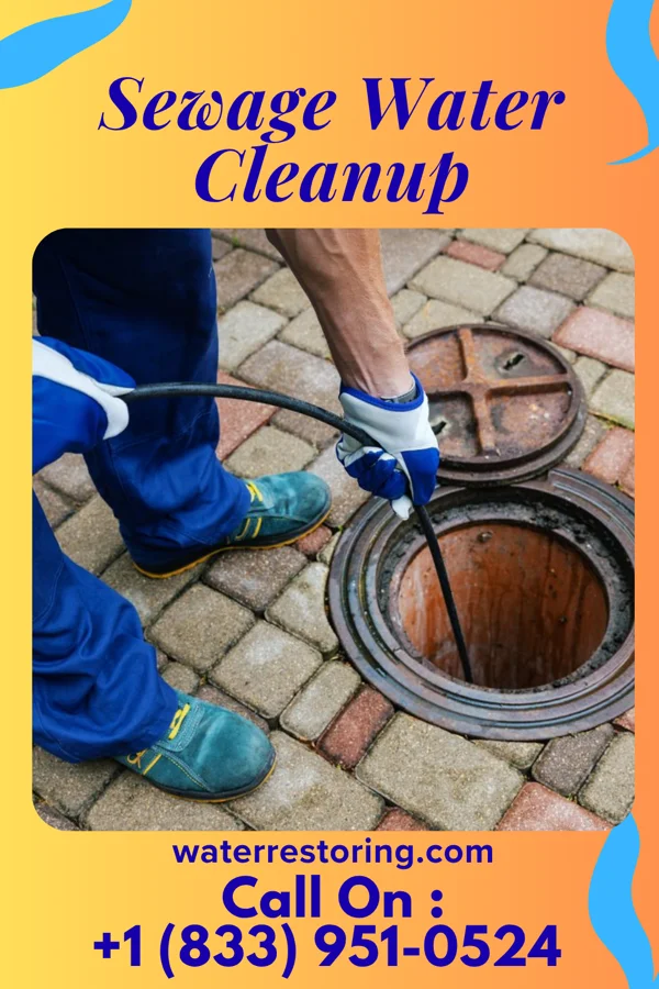 Sewage Water Cleanup in Addison, WV