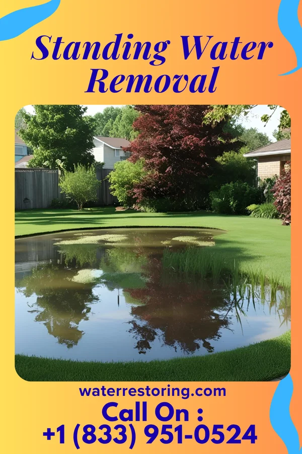 Standing Water Removal in Addison, WV